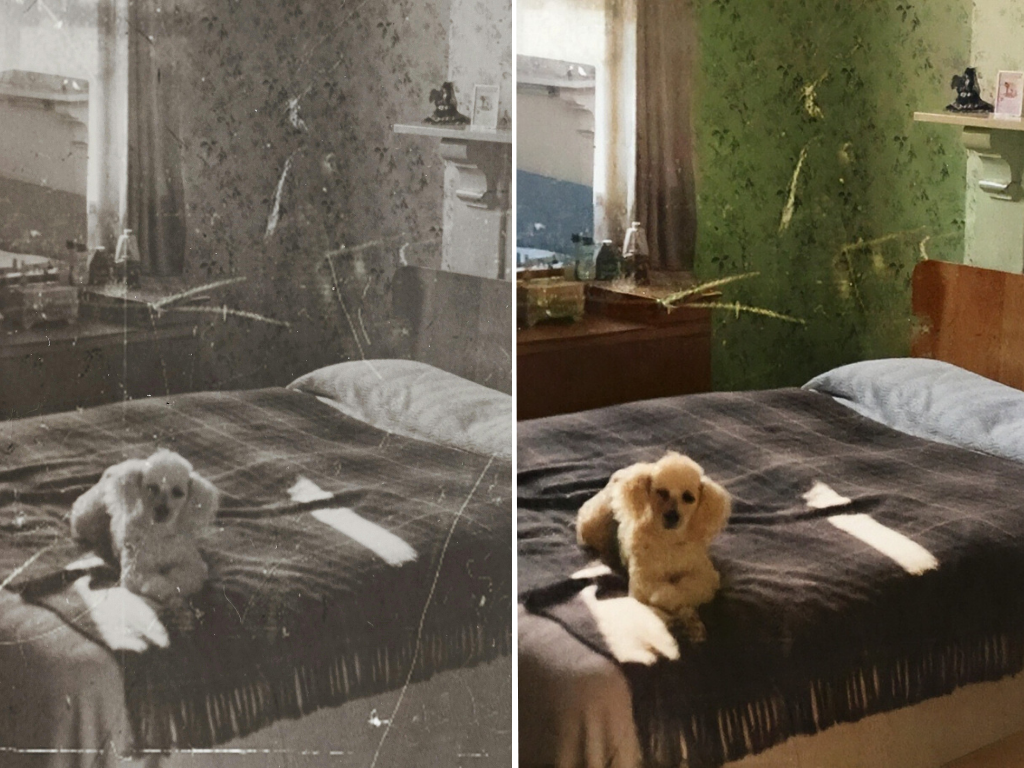 Photo Restoration